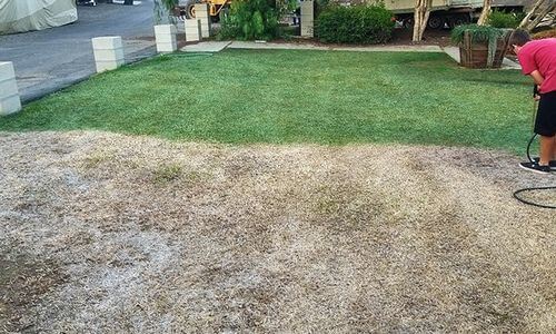 Obrázek #1 od Erika Y.