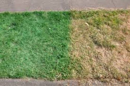 Obrázek #1 od Eva P.