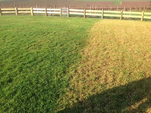 Obrázek #1 od Marie-Christine B.