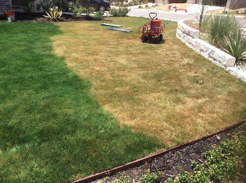 Obrázek #1 od Donald V.