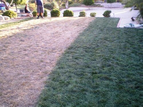 Obrázek #1 od Christopher Q.