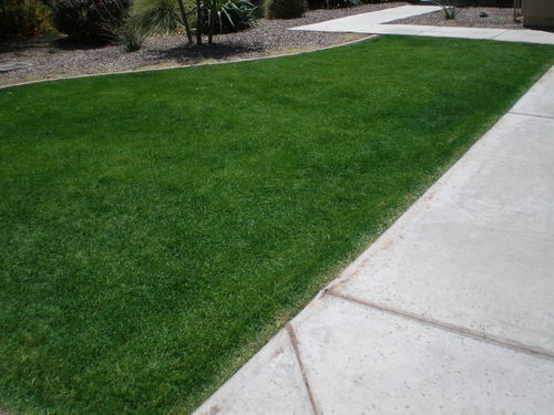 Obrázek #1 od Arizona M.