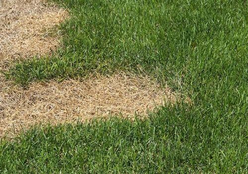 Obrázek #1 od Richard S.