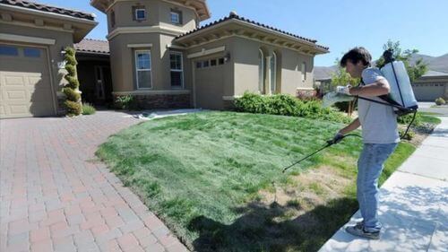 Obrázek #1 od Jacob W.