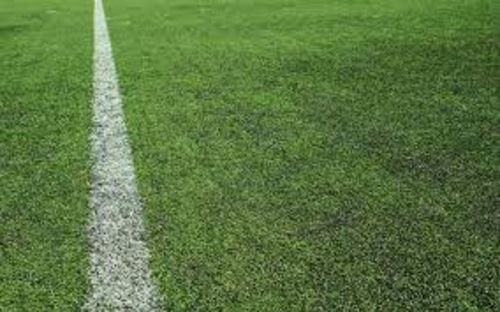 Obrázek #1 od González F.