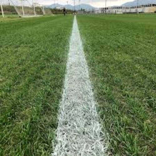 Obrázek #1 od Fernández P.