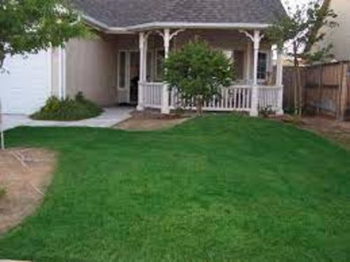 Obrázek #1 od Parker K.