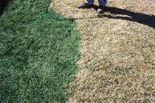 Obrázek #1 od Alaska S.